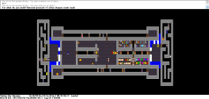 nethack-castle